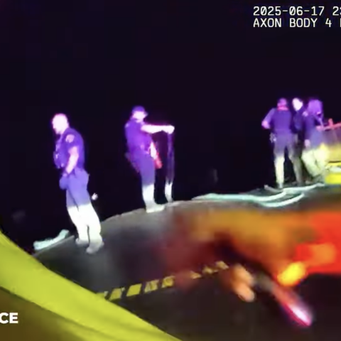 cops rescuing people in the water after high speed chase